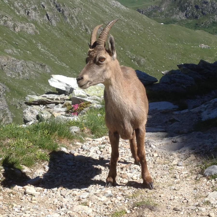 Vacation Rental - Pralognan La Vanoise Savoie ภายนอก รูปภาพ