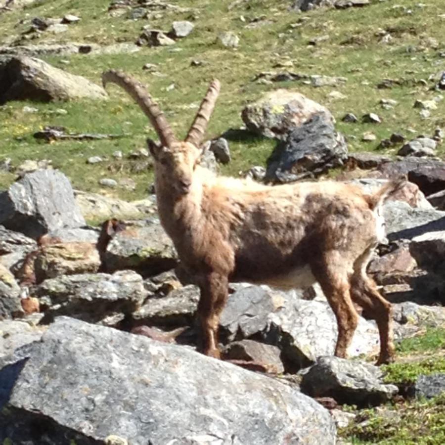 Vacation Rental - Pralognan La Vanoise Savoie ภายนอก รูปภาพ