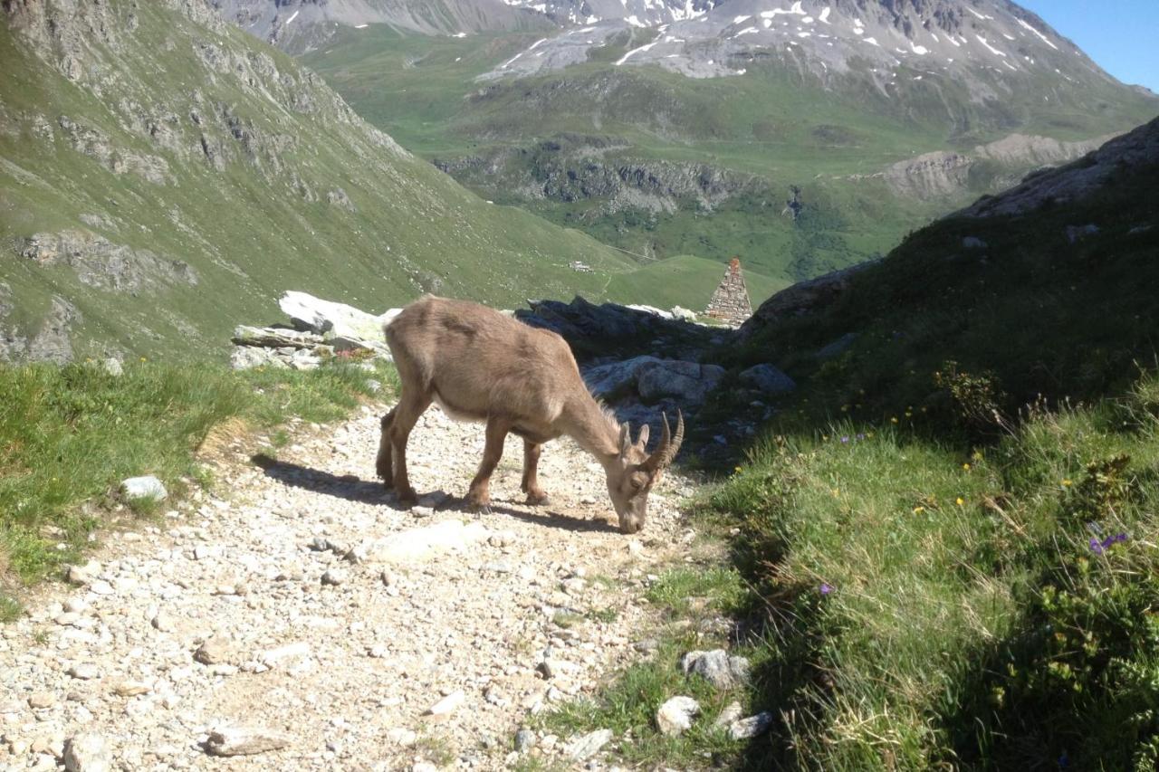 Vacation Rental - Pralognan La Vanoise Savoie ภายนอก รูปภาพ